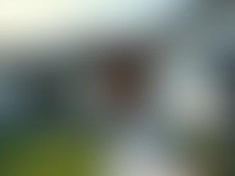 Why Home Watch Services Matter