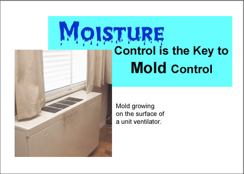 Moisture and Mold Prevention and Control Tips