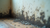 Effective and Reliable Mold Testing Services for Mold Safety Solutions