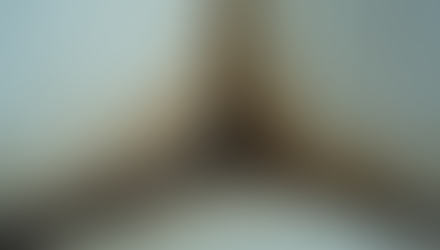 Expert Mold Testing for a Healthy Home in Southwest Florida