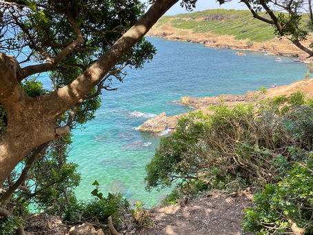 Finding Alegria in Algeria 