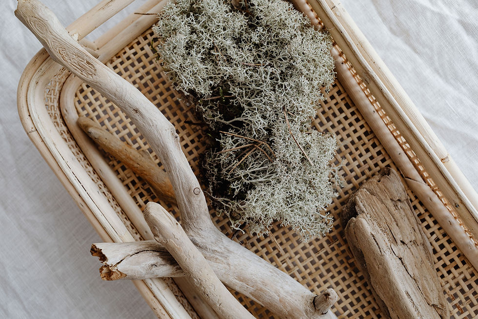 Sculpted Art Inspired by Nature