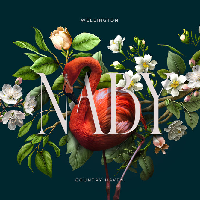 Supernova Collective Naby