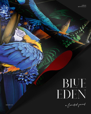 Supernova Collective Wallpaper Design Wrapping Paper Design.jpg