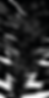 walpaper.png