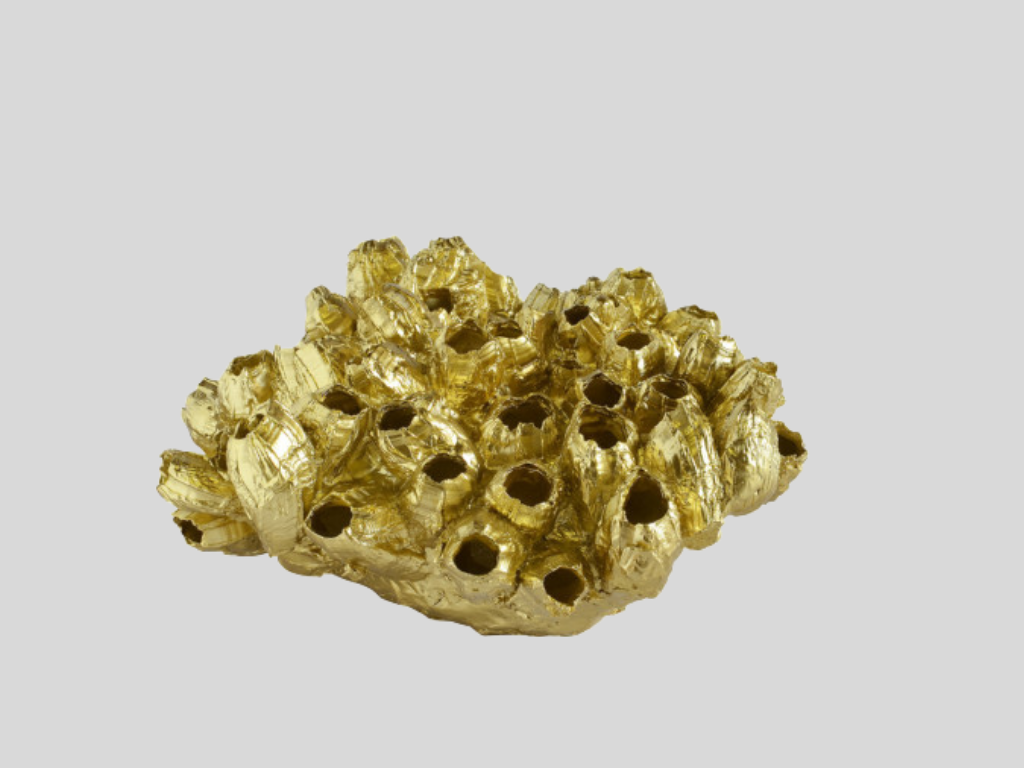 Coral Barnacle Gold