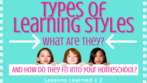 Types Of Learning Styles