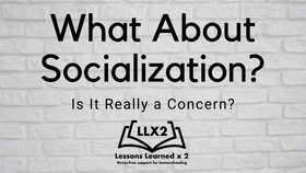 What About Socialization? Is It Really a Concern?
