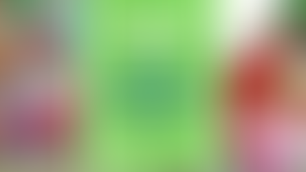 K-2 Homeschooling--What We Wish We Would Have Known!