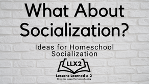 What About Socialization? Ideas for Homeschool Socialization