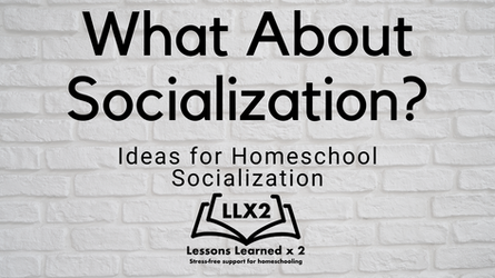 What About Socialization? Ideas for Homeschool Socialization