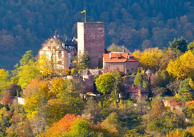 gamburg-gold-quadrat-wilhelm-strake.jpg