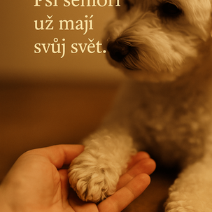 Psí senioři - život v jiné dimenzi - Příběh jedné 17-ti leté jezevčice