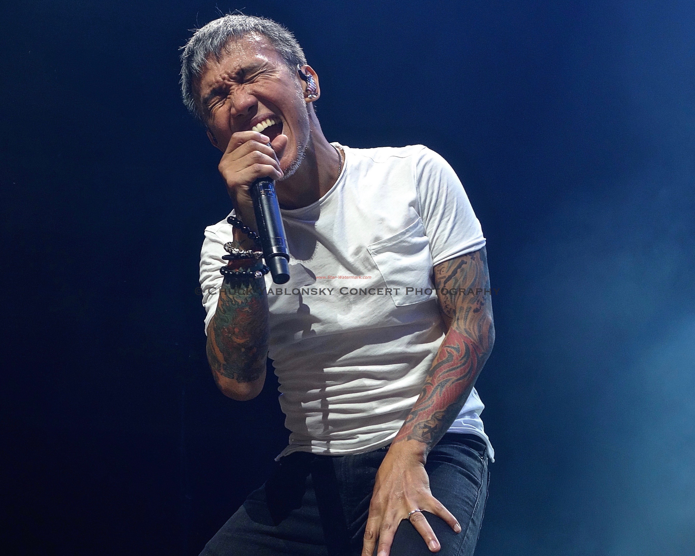 Arnel Pineda - Journey