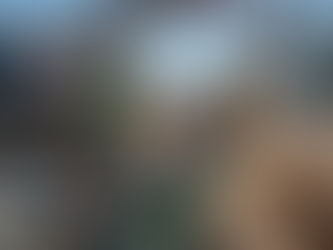 Welcome to our new website