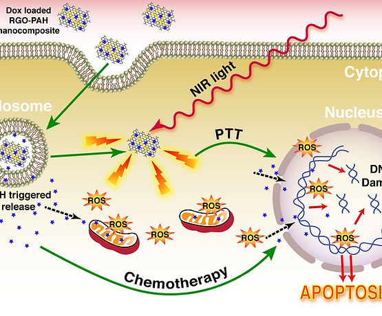 Schematic RGO-PAH TOC.jpg