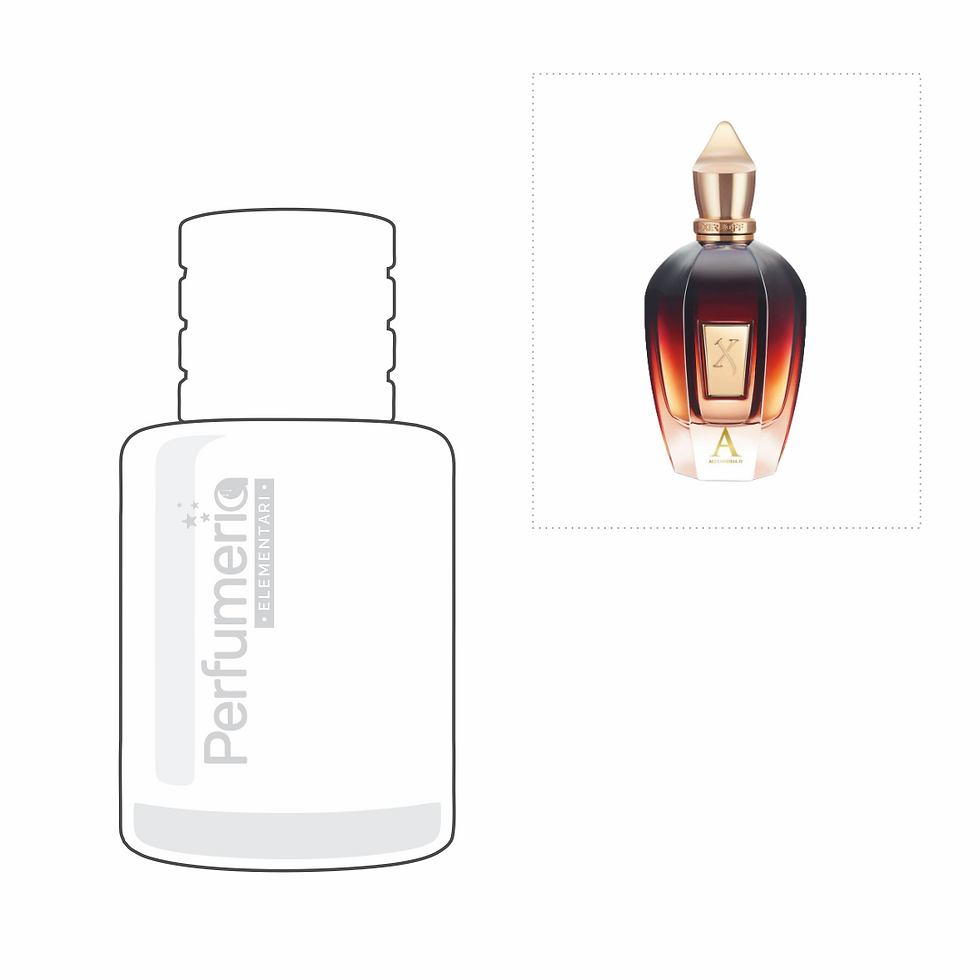 Perfume N° 919 - Inspirado en ALEXANDRIA II de XERJOFF