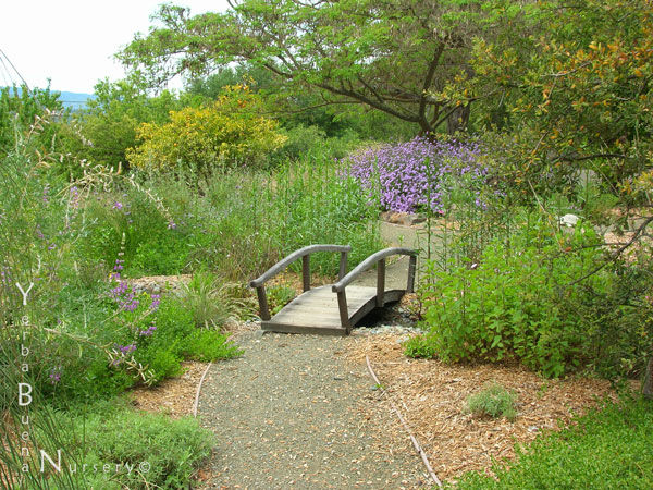 garden_design7_r