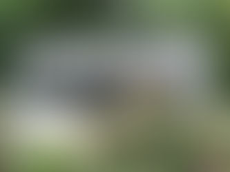 Why the Fireplace Store at Aspinwall Baystate Is Marshfield’s Go-To Showroom