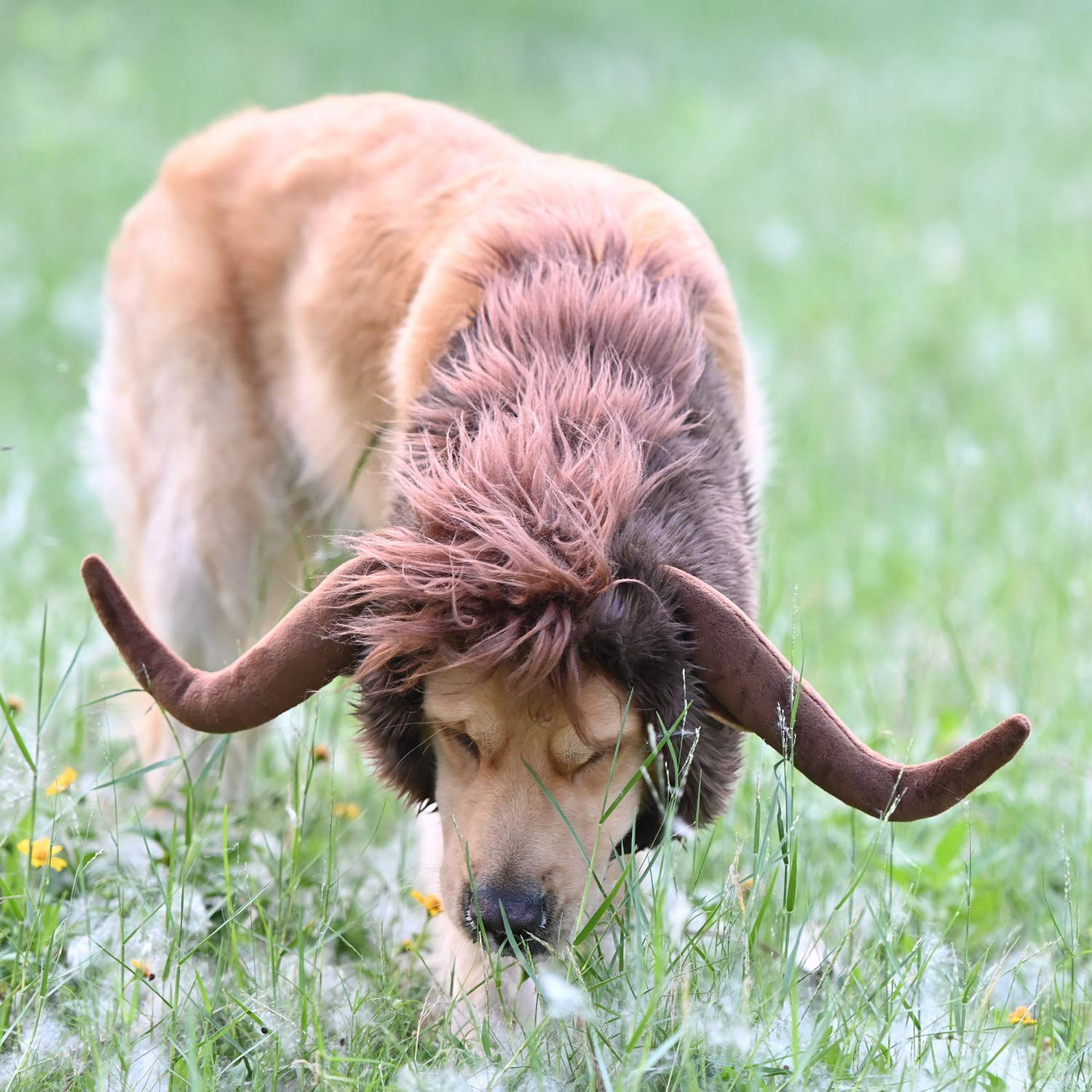 Onmygogo Funny Pet Moose Costumes for Dog Cute Furry Pet Wig for Halloween Chris
