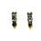 Thumbnail: Colorado Aquamarine Gemstones 14kt Yellow Gold Earrings Jewelry