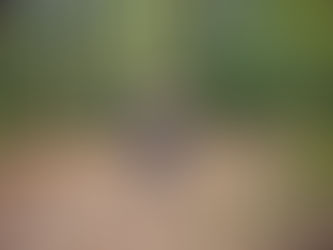 Cody is not me. But he's not NOT me.