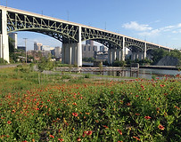 8206ff50-0bfe-4d83-90c9-aa31f93d7b21.jpg