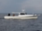 37858295_1050093395149714_1501308030224957440_n