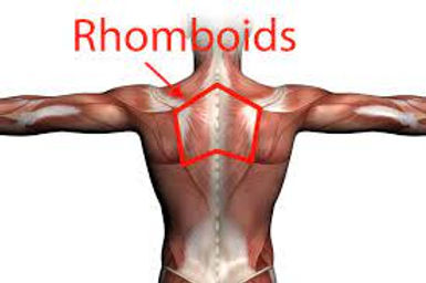 Rhomboid strengthening outlet