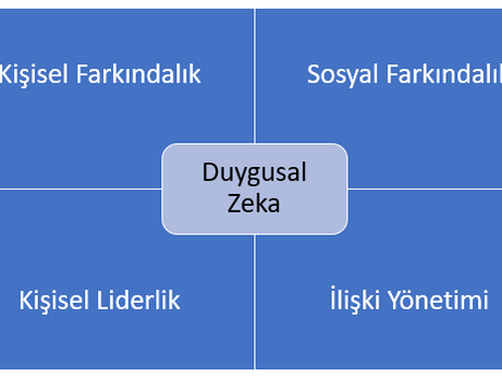 Çevik Liderlik Programı (devam ediyor)