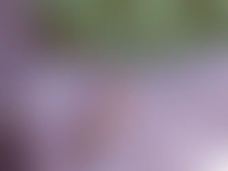 Why Easter Could Be My Favorite Holiday…