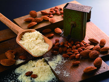 催事出店のご案内 2026年2月