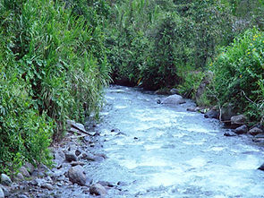 Foto tomada de: http://www.fonag.org.ec/inicio/publicaciones.html