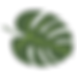 36d65a7213b489ab98f586d831e9d2ea-tropica