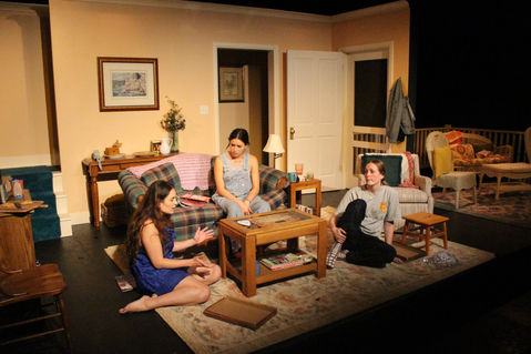 scenic design, Sunday on the Rocks, theresa rebeck, kate schaaf, theater design, 1990 living room set design, actors company theater, los angeles theater, let live theater, mariel molino