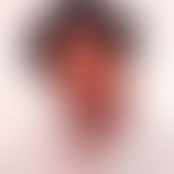 O respeito à fé e os limites da liberdade de expressão