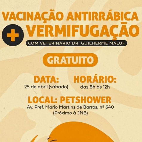 Cães e gatos: Campanha gratuita de vacinação antirrábica e vermifugação