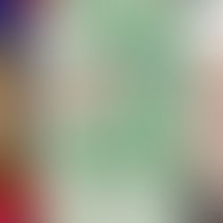 Das águas do Sul, aos rios da Amazônia: A última viagem da missionária Iloni Leuck