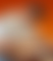 Beto Tofeti solicita melhorias de segurança na Cândido Portinari