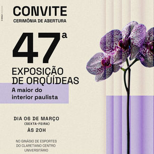 Exposição de orquídeas