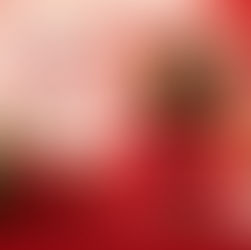Dia dos Namorados: Uma data para celebrar o amor