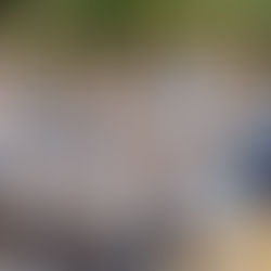 Luz na Floresta: evangelismo e atendimento a comunidades ribeirinhas