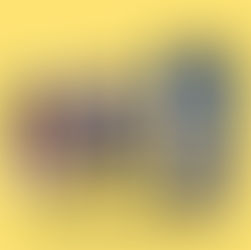 PIBB em Borda da Mata empossa novo pastor