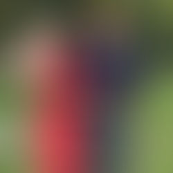 Família Campos e o povo da etnia Gavião Ikolen