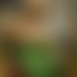 Rosangela da Silva Feitosa - Testemunho