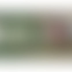 A caminhada missionária de Thatiana Oliveira rumo a Portugal