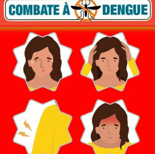 Atualização sobre a dengue no Brasil
