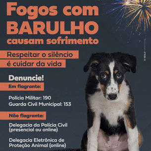 Prefeitura reforça proibição de fogos de artifício com barulho