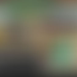 Família Brazão: Desafios e bênçãos no Projeto Médio Içana, AM