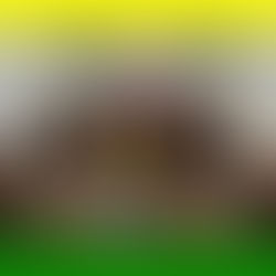 Colégio Batista Independente celebra 30 anos de história, fé e formação em Ribeirão Preto